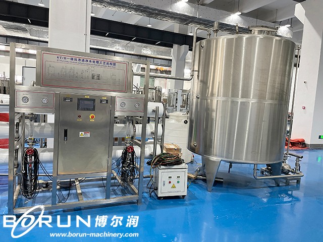 6 Ton/Hour Pure Water Treatment System For Borehole